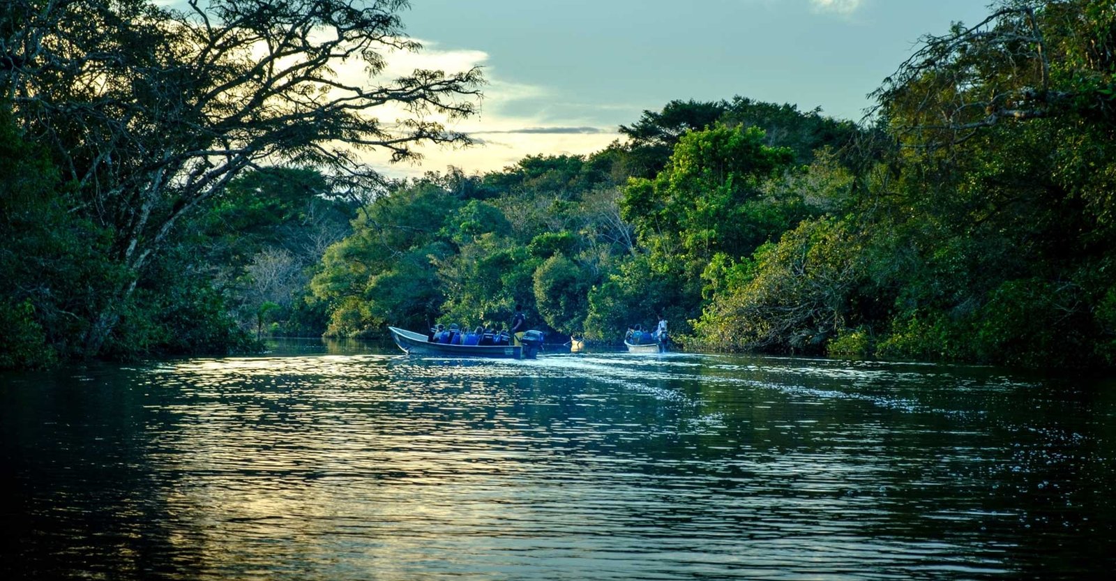 Madu River Safari by Buddhi | Explore Sri Lanka